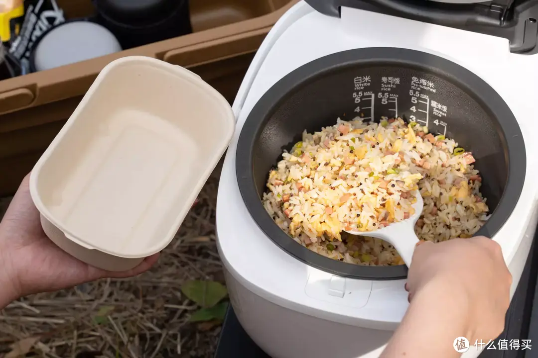 超喜欢吃米饭的我，给自己买了个高级电饭煲，东芝RC-10LTC电饭煲体验分享