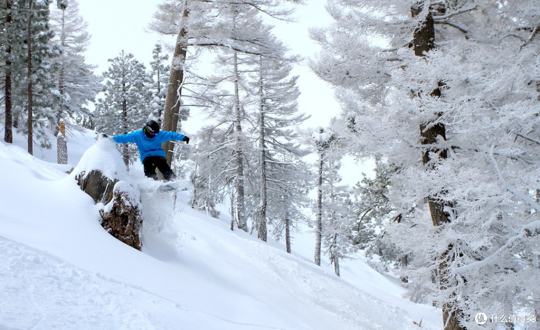 Jones Dream Catcher/Explorer，一板走天下_滑雪装备_什么值得买