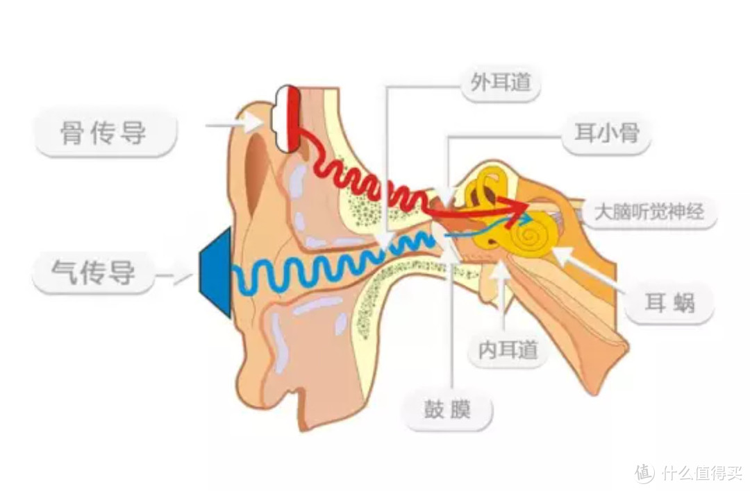 双11运动装备已入！Xiaomi骨传导耳机，运动听歌体验直接拉满！