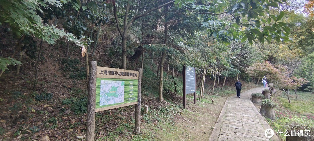 原来上海还有一座山：天马山/爬山去喽/松郡九峰中第八山，山势巍峨、险峻陡峭，境内森林繁茂，旧名干山