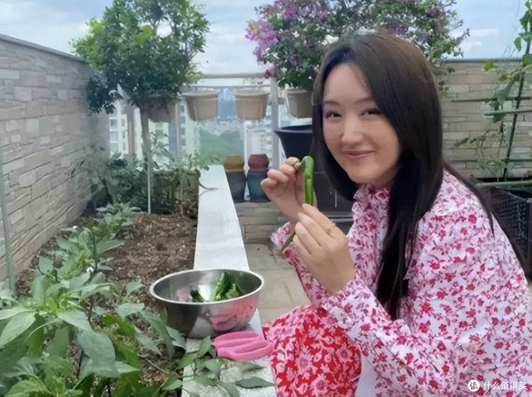 51岁杨钰莹的独居生活：全屋精致有品位，院内生活悠然自在又惬意