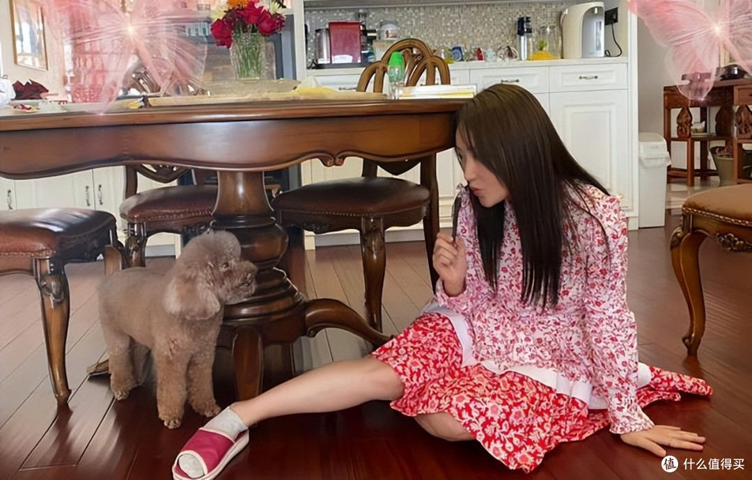 51岁杨钰莹的独居生活：全屋精致有品位，院内生活悠然自在又惬意