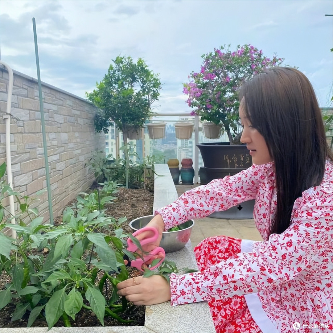 51岁杨钰莹的独居生活：全屋精致有品位，院内生活悠然自在又惬意