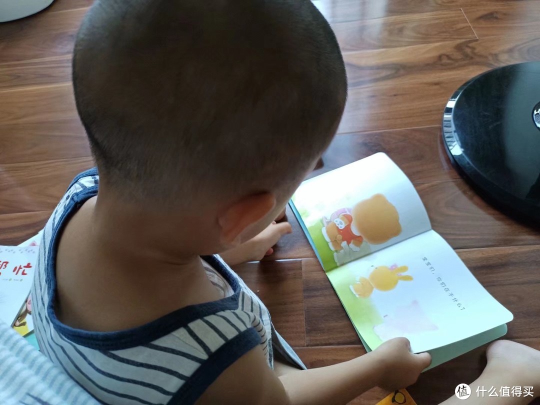 儿子在看小熊宝宝绘本