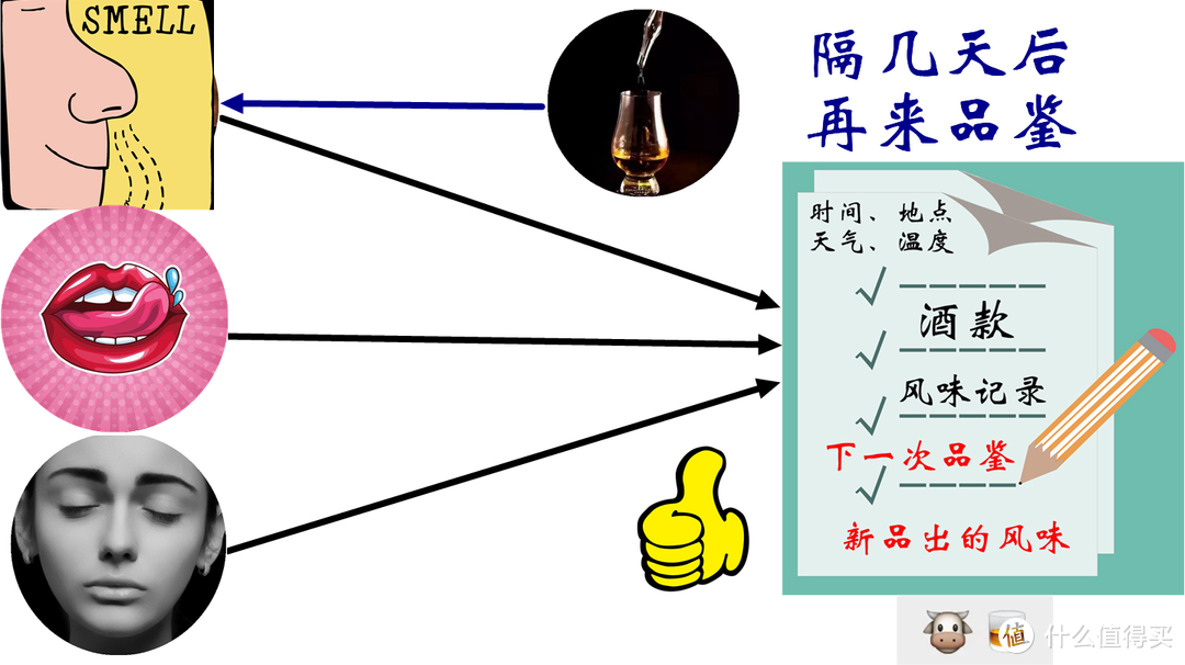 威士忌入门：如何品出威士忌的风味