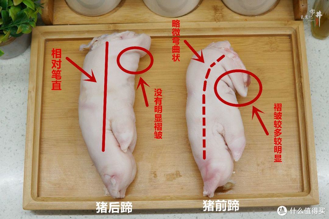 猪前爪和后爪图解图片