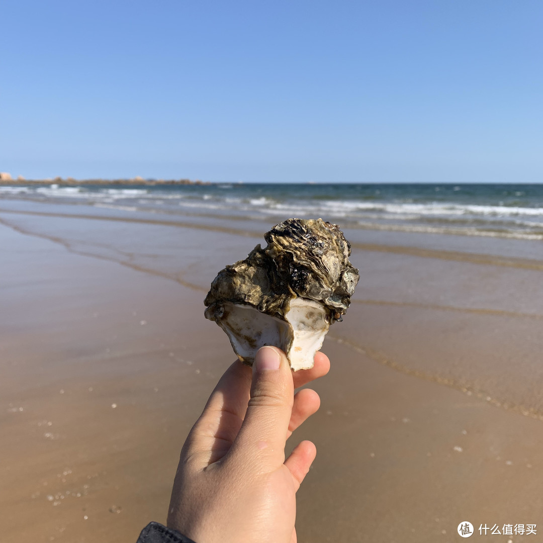 我的拍摄秘籍之夏日随手拍