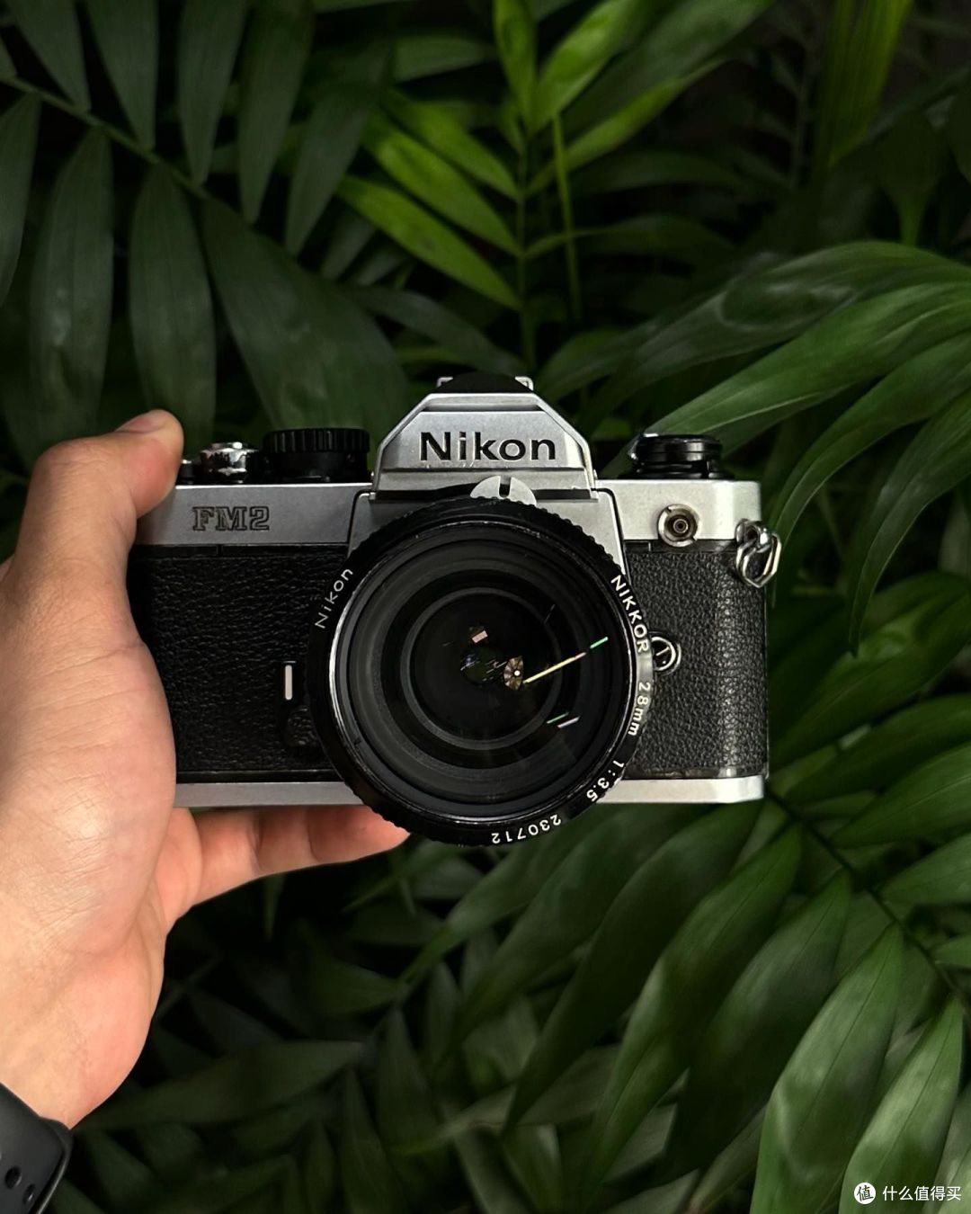 都快2023年了，你还需要一台尼康FM2全机械胶片相机吗