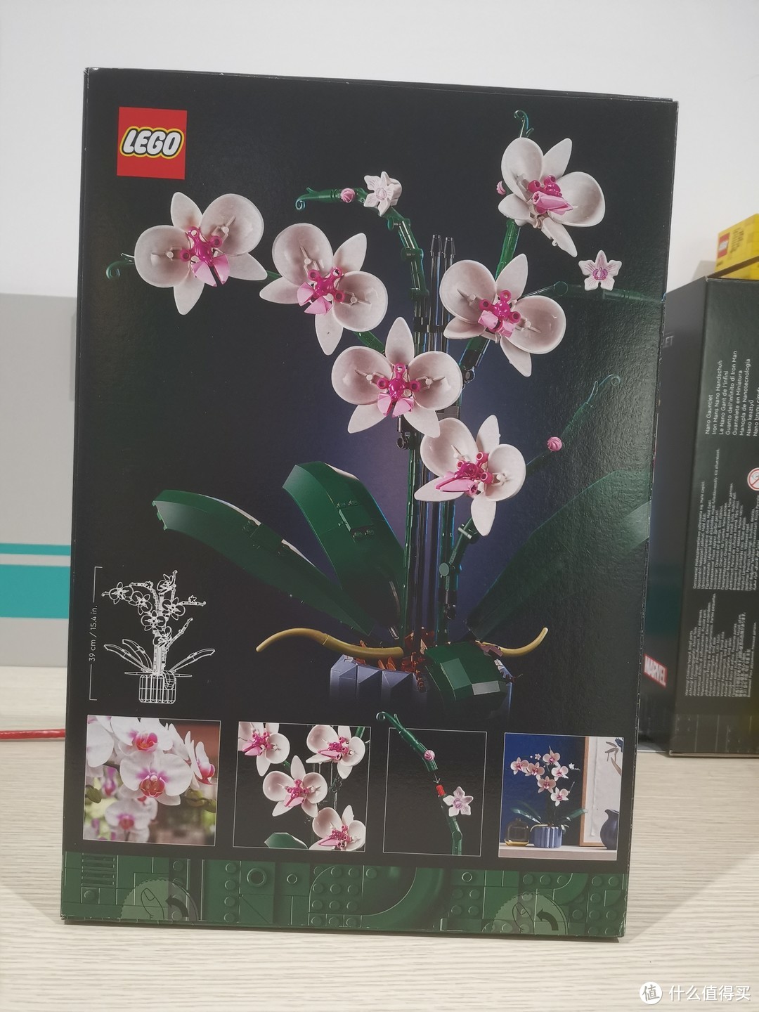 LEGO 乐高10311 花卉系列 兰花 开箱评测