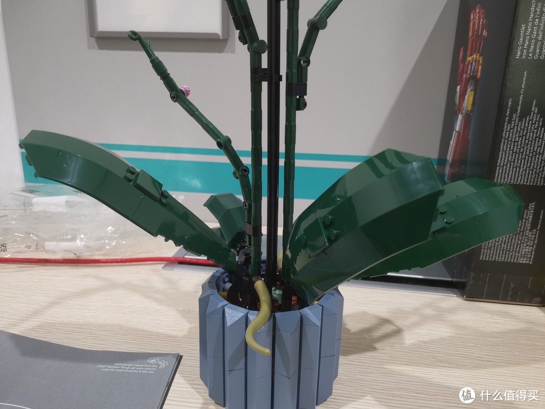 LEGO 乐高10311 花卉系列 兰花 开箱评测