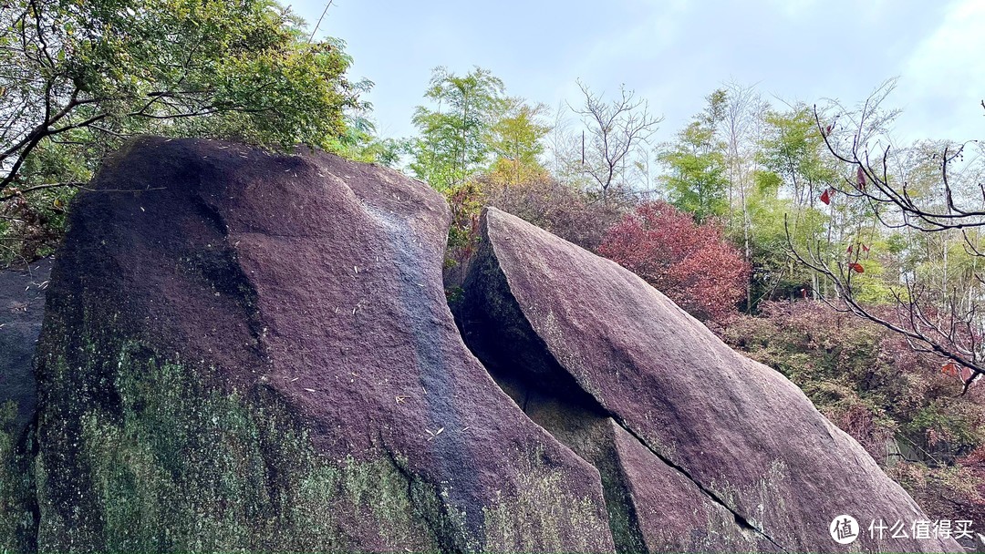 访紫阳宫，山色晚来秋