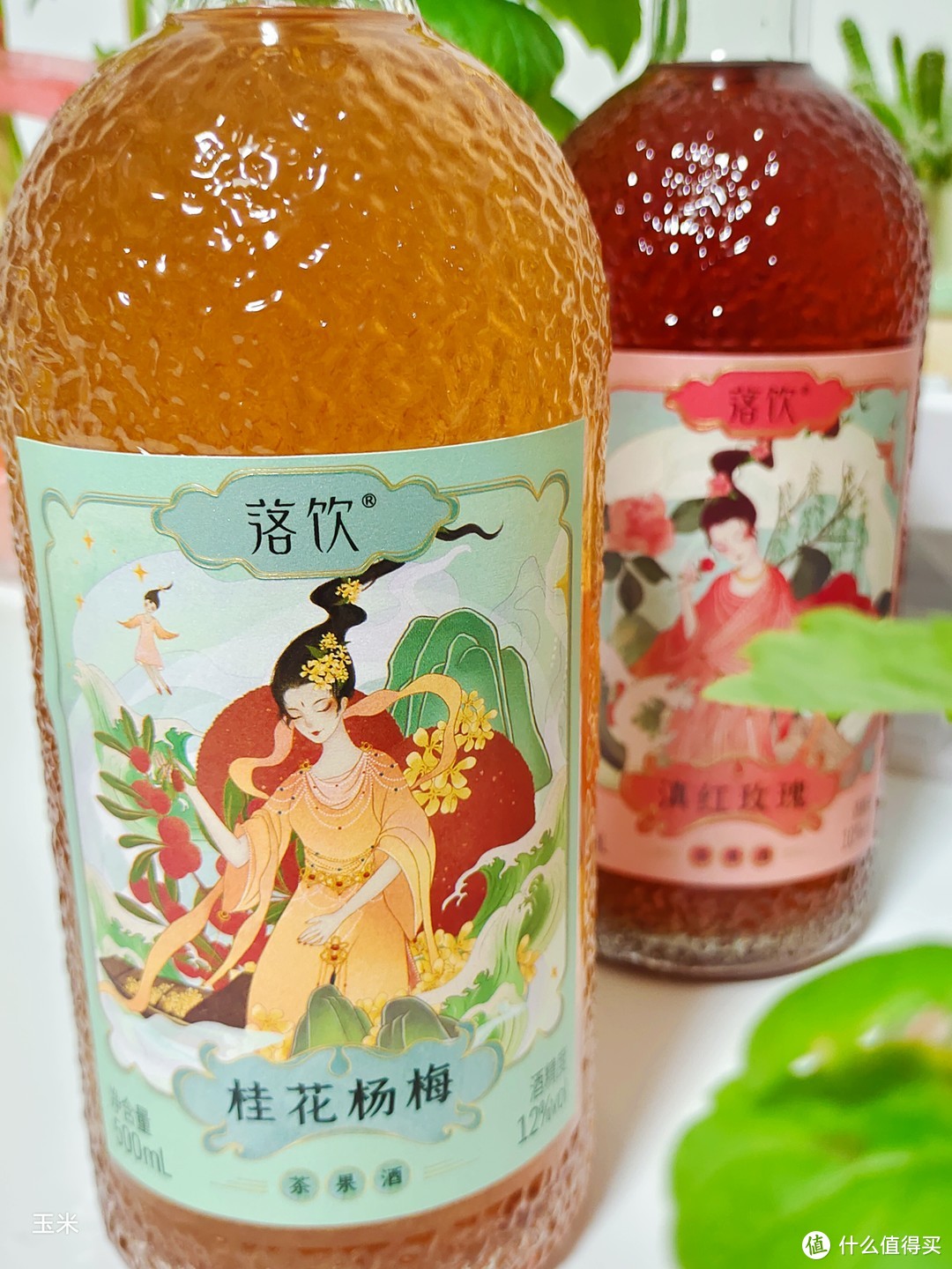 网红热门果酒测评｜落饮茶果酒