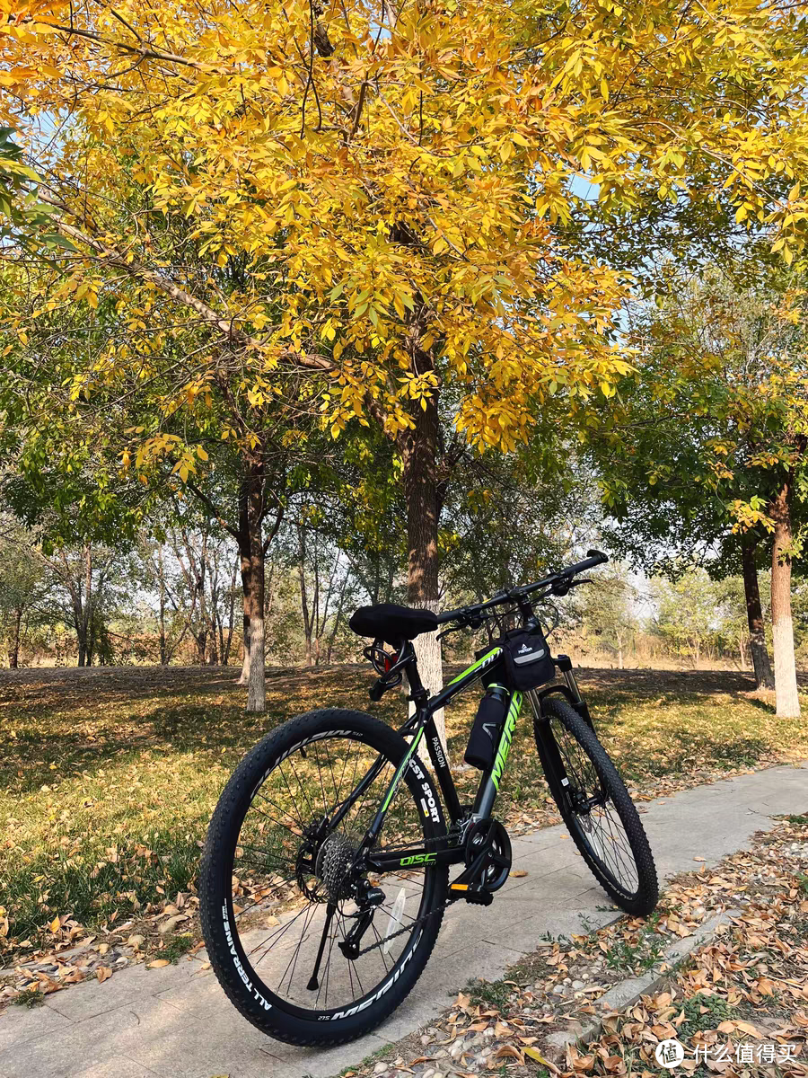 跨上单车🚲，享受上班的旅程