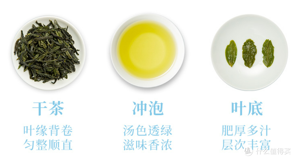 又是一年囤茶季之：绿茶之安徽名茶