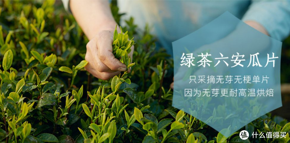 又是一年囤茶季之：绿茶之安徽名茶