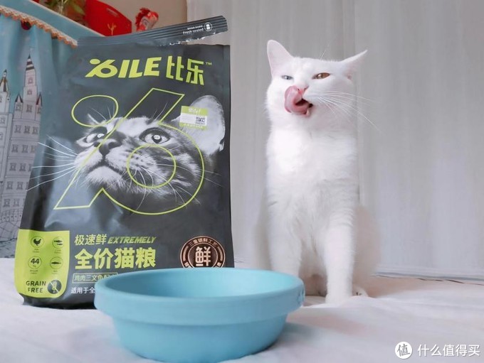 如果只选择国产，请问猫粮哪个品牌好？