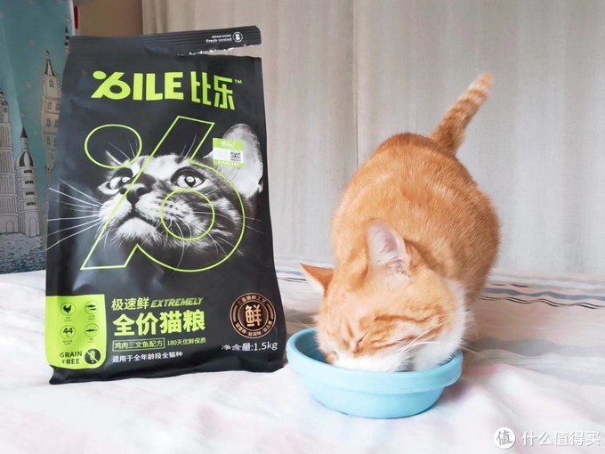 如果只选择国产，请问猫粮哪个品牌好？