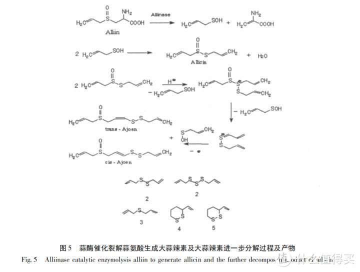 蒜素的降解产物