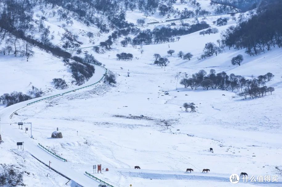 只花7元，坐这趟火车前往雪国秘境