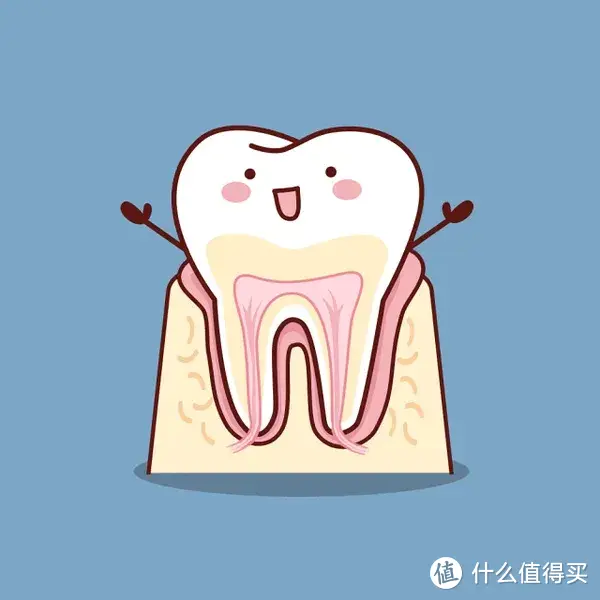 牙齿敏感怎么办？四大引发因素可以对症下药，有效缓解牙齿敏