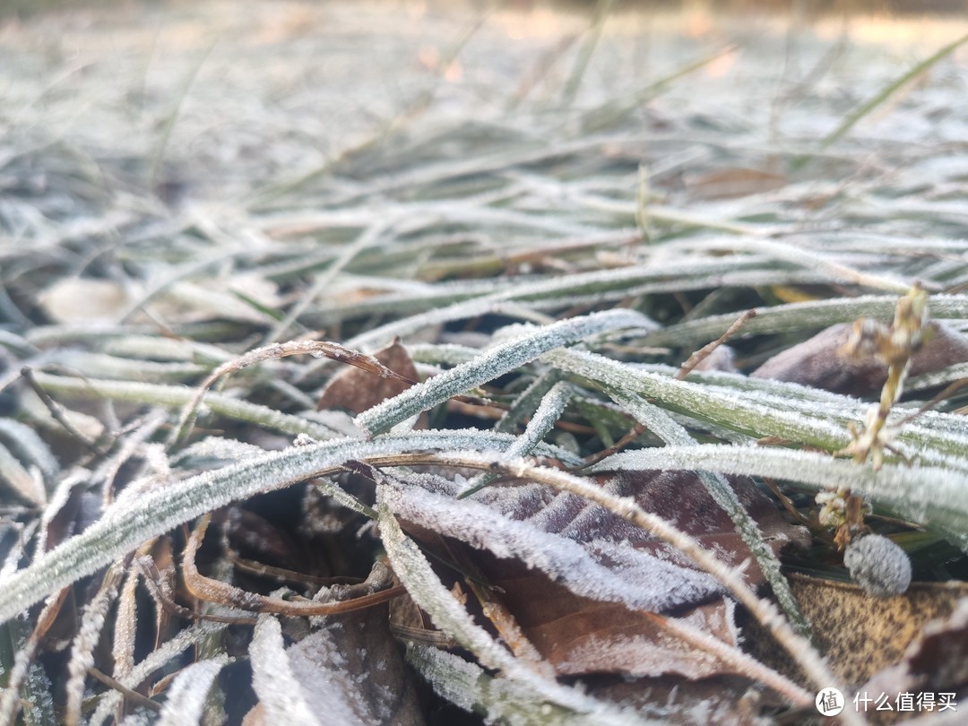 让青春吹动了你的长发，大雪了你还好吗？