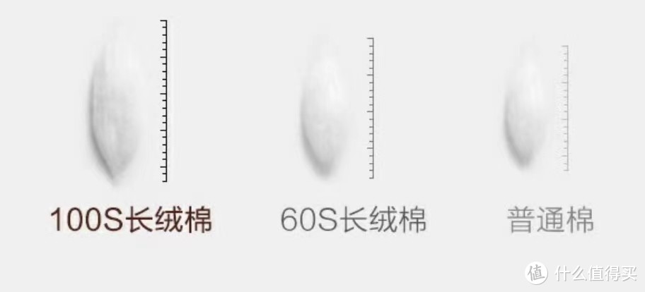 网购了5次四件套，总算知道了200元四件套和1000多元的区别