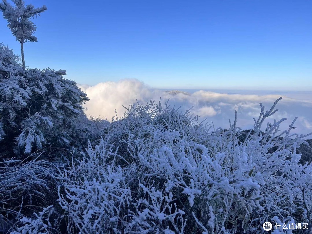 双十二后疫情时代去户外如何选购保暖装：RAB睿坡不仅有性价比超高的羽绒品牌，还有更多平替鸟，象，鼠，