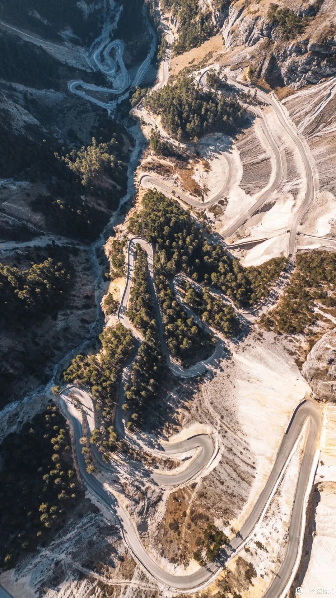 新手小白怎样选无人机?便宜量又足,大疆Mini 3入门级无人机测评