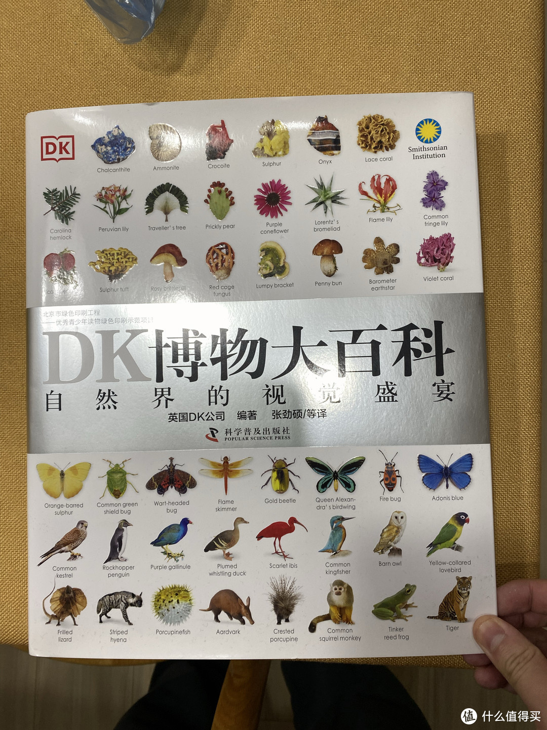 我的书单分享-DK博物大百科