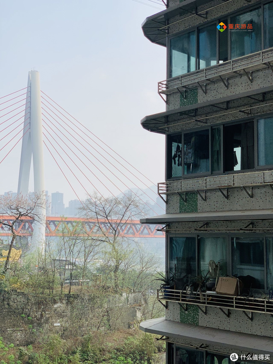 山水桥都，看重庆！创下五项世界第一，东水门长江大桥有多牛？