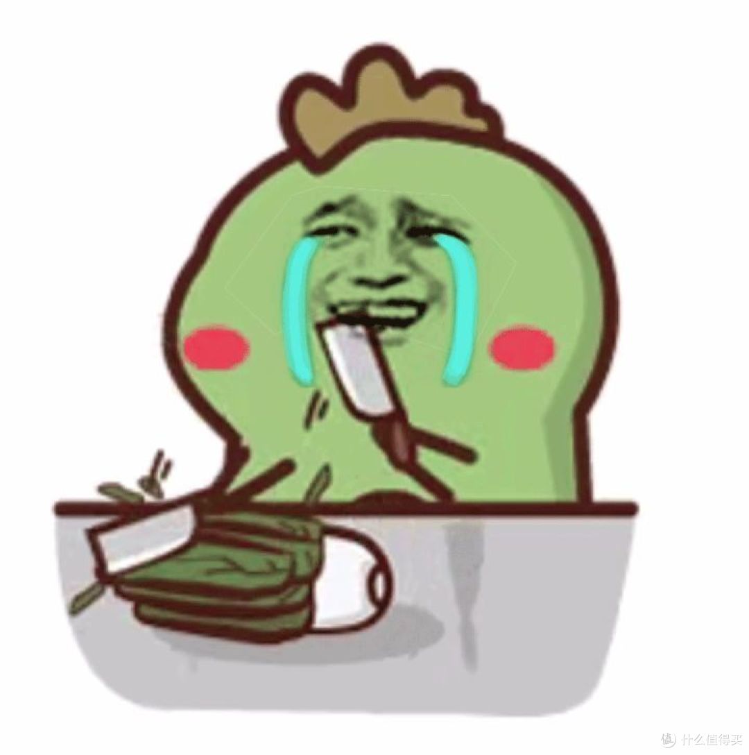 2022双十二绞肉机指南，绞肉机实不实用？有哪些好用的绞肉机？绞肉机品牌推荐