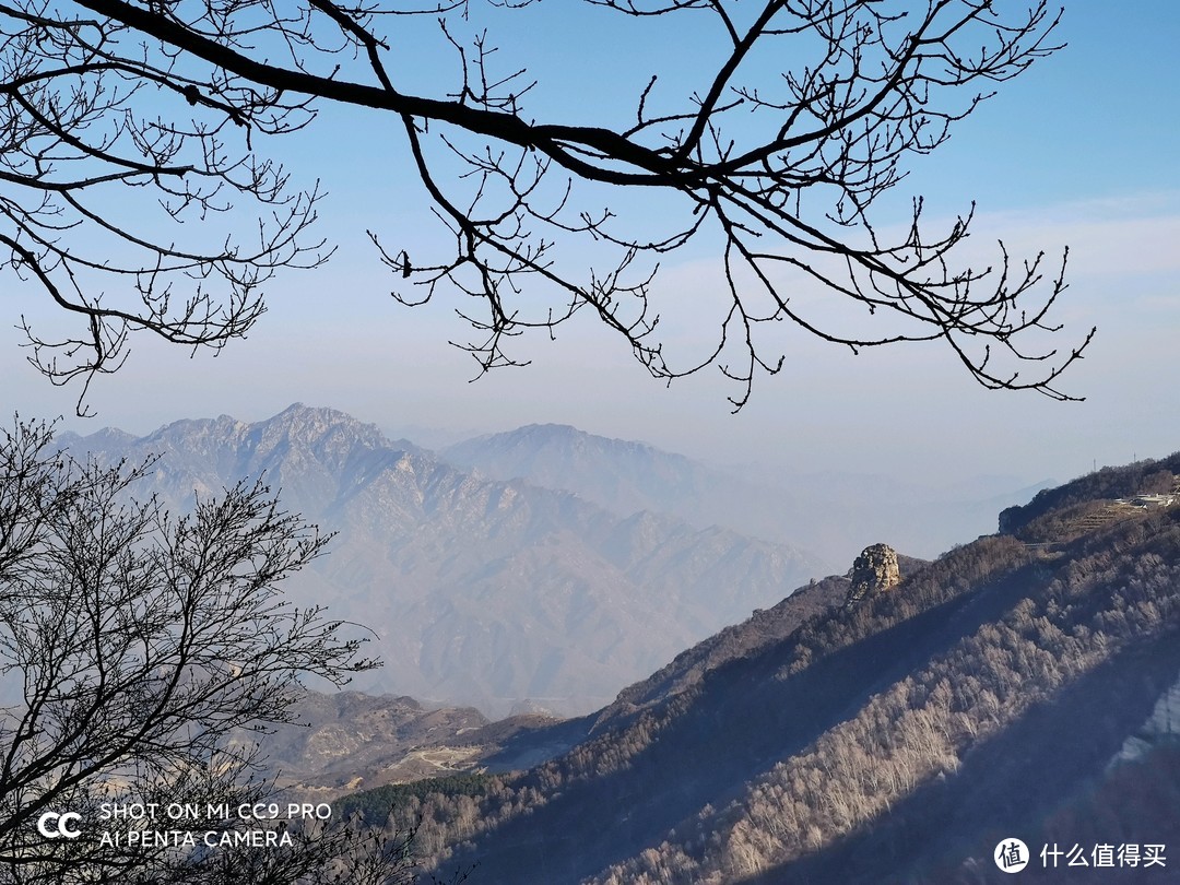 枯树石山云海