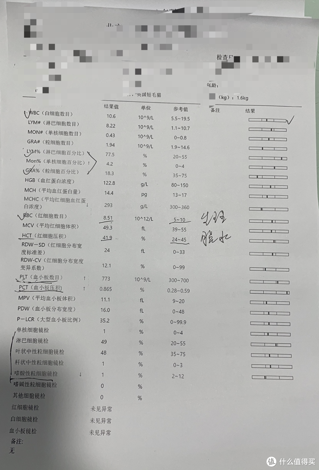 养猫的第二天带它看病花了1880，新猫到家的花费明细以及这一周的总结，欢迎大神来指导