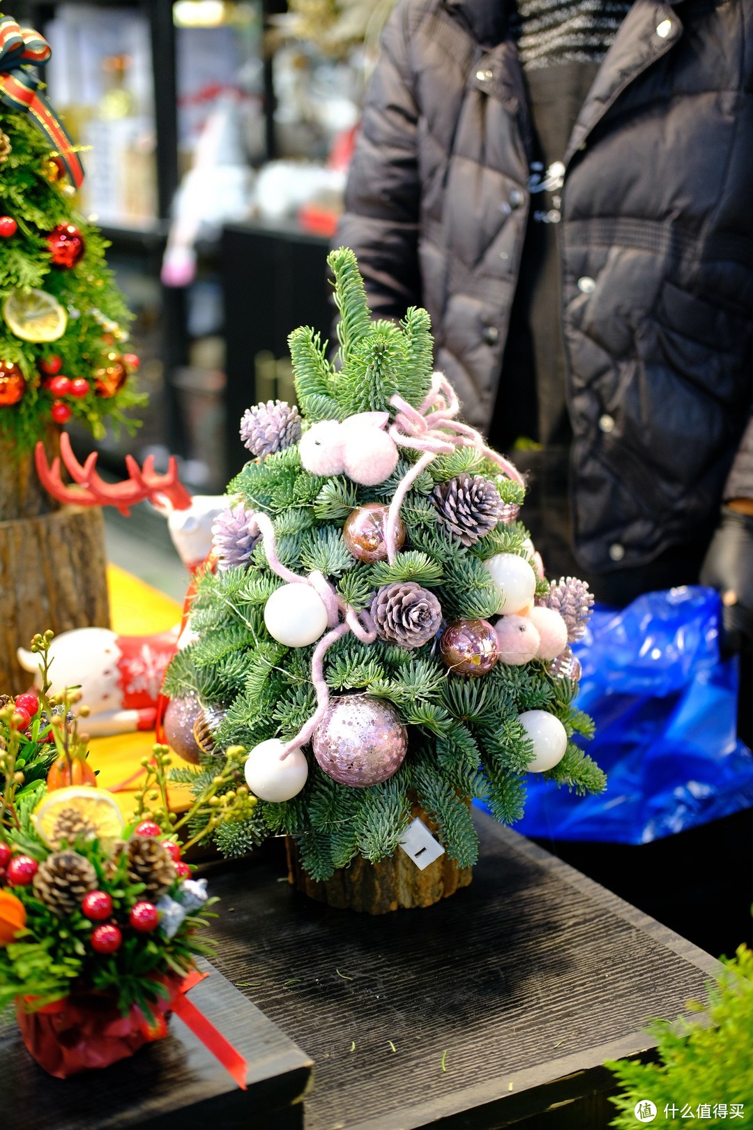 圣诞元旦新年买什么花？跟着我云逛花卉市场，超多好物！附上花卉清单和精灵帽子圣诞树制作方法！