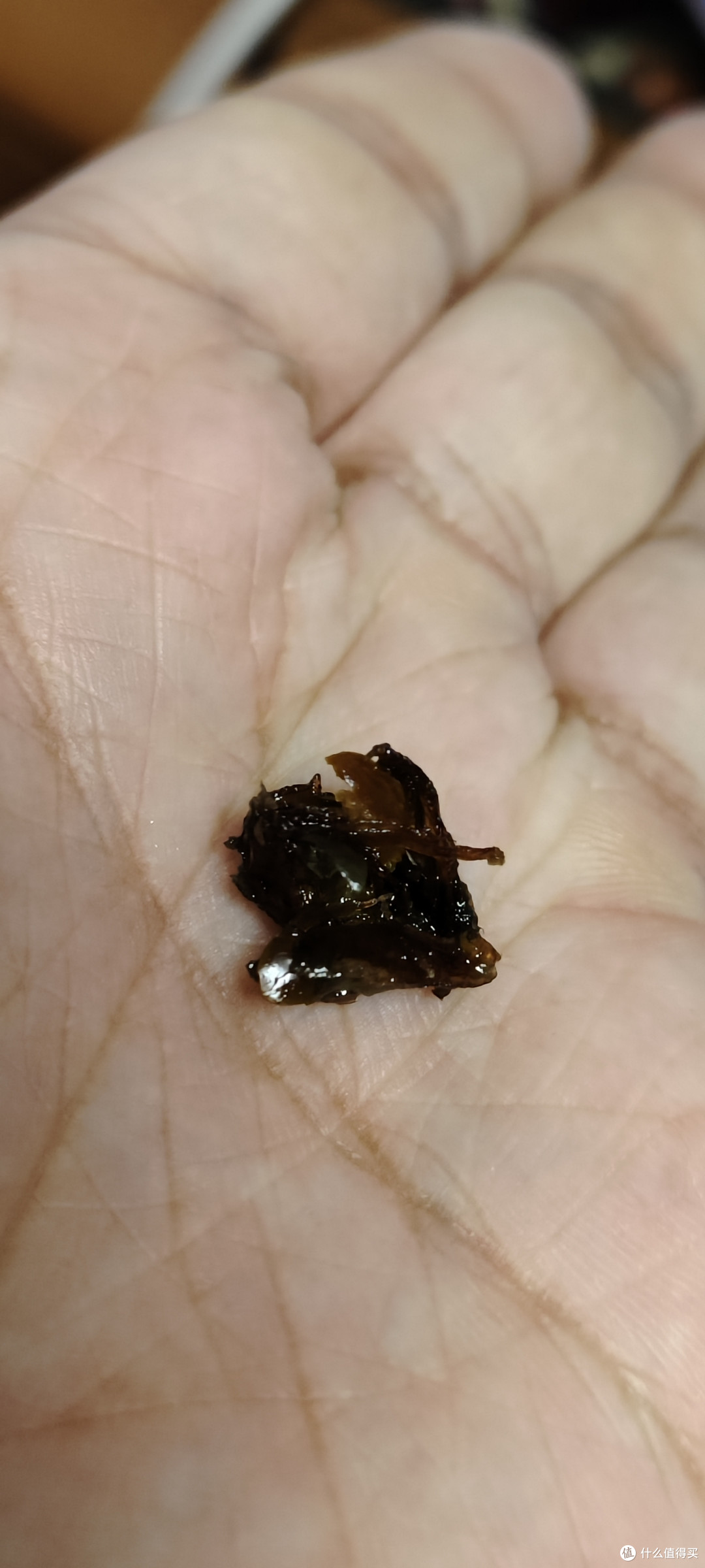 超级黑暗美食/潮州三宝老香橼,药桔黄皮果～纯黑色的八宝橘子/ 野生