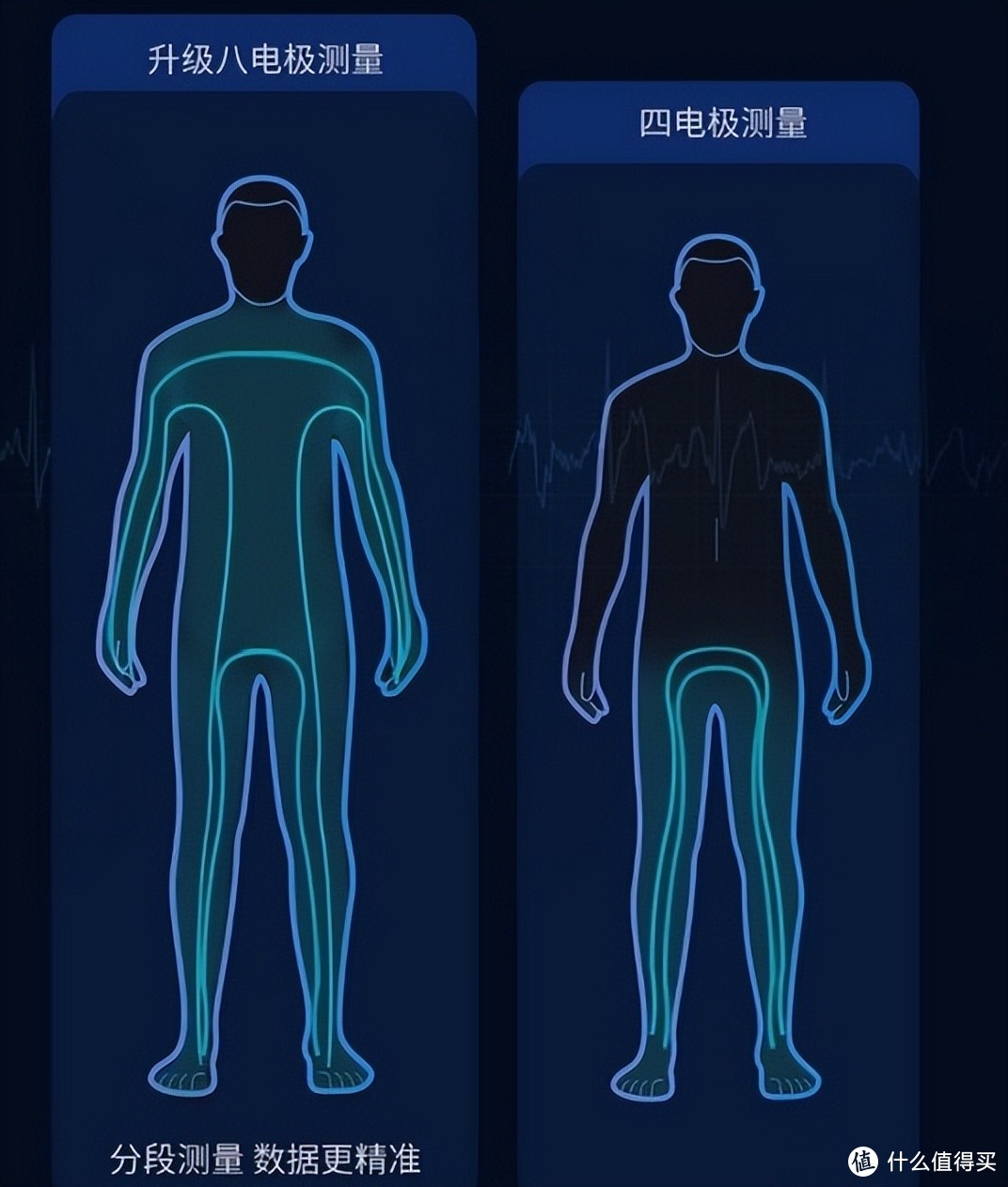 3分钟了解怎么减肥和减脂的区别~附上2款体脂秤详解