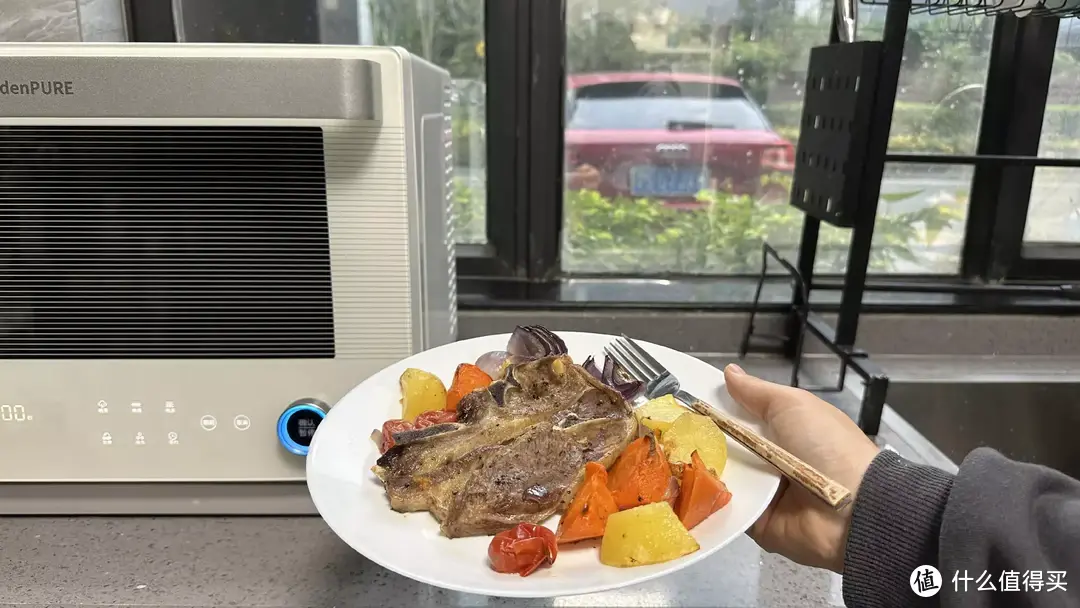 一台顶多台用！微蒸烤一体机真的太实用啦，附选购攻略跟食谱