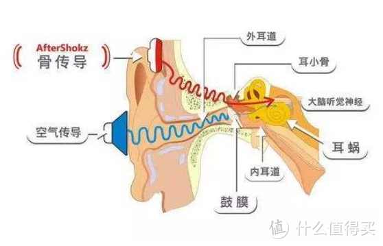 实物评测 | 骨传导耳机优缺点，南卡Runner Pro4开箱测评