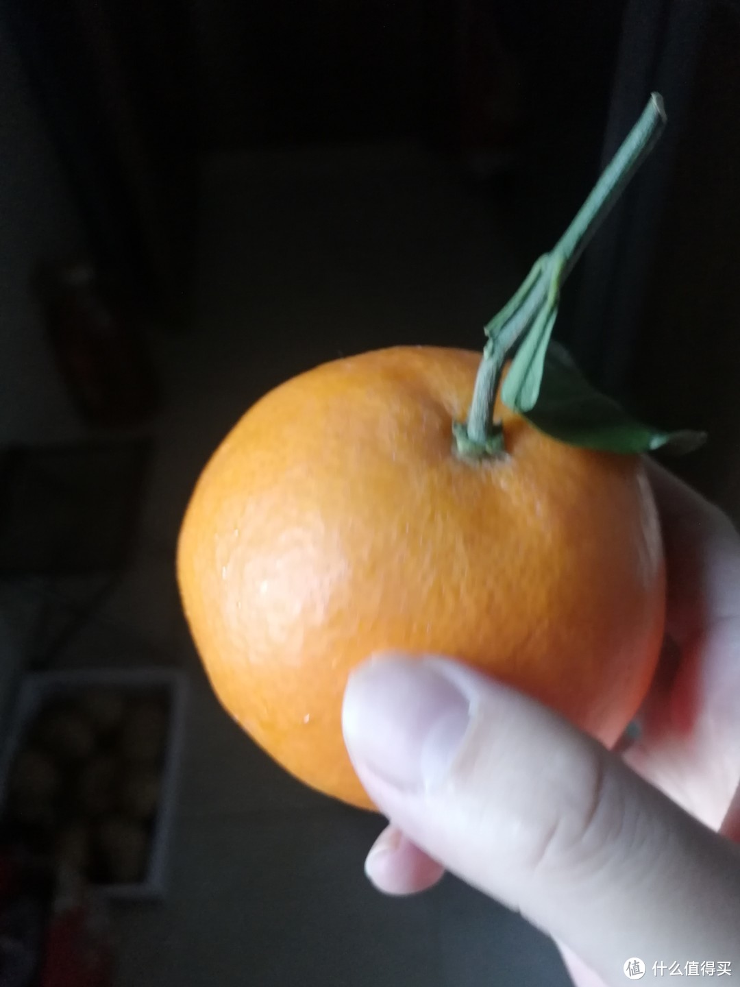 好吃的爱媛果冻橙，冲鸭