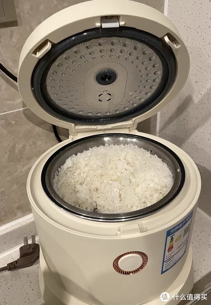 想在减脂期吃米饭的宝子们，用这款电饭煲！