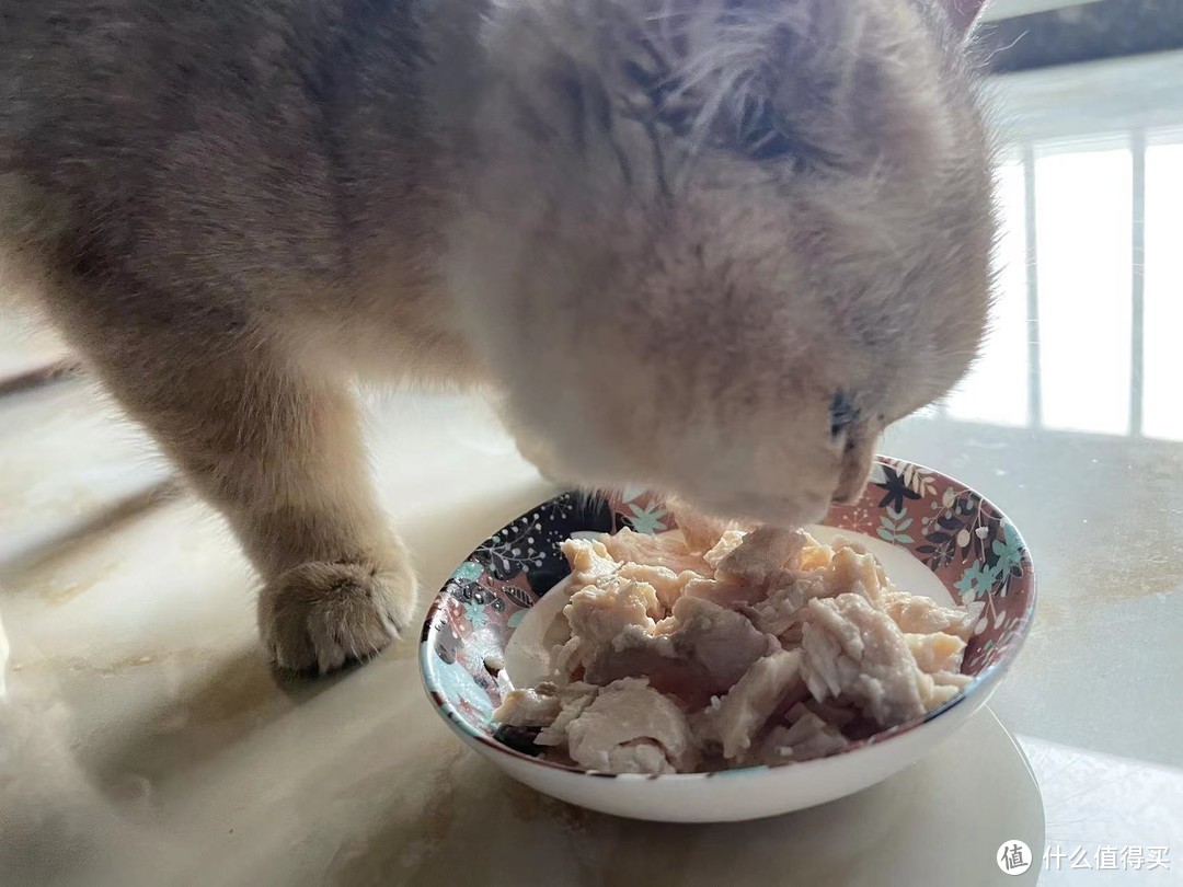 整条鱼做猫饭，钓鱼佬的猫吃鸡胸肉都是奢望