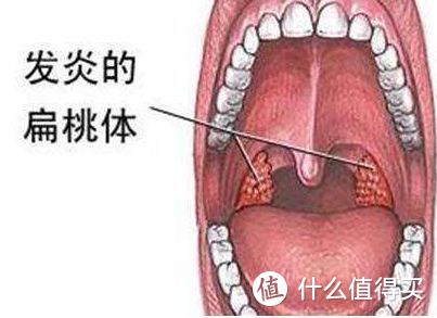 图片摘自网络，侵删。