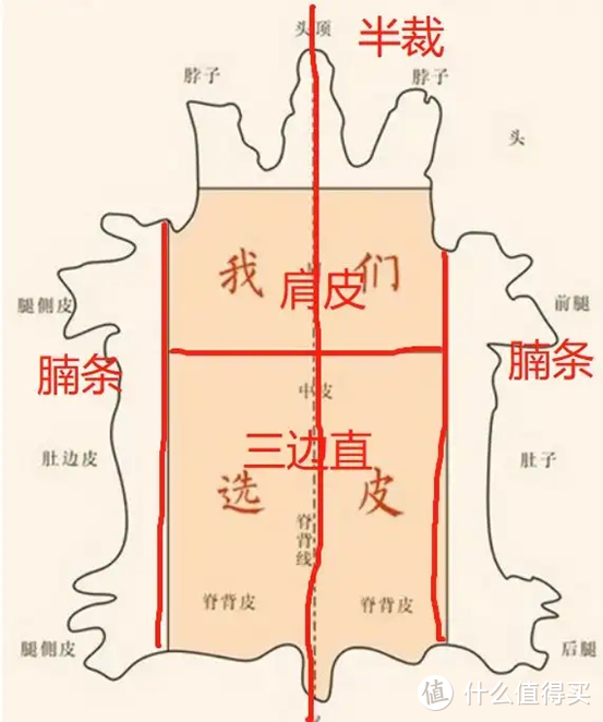 【科普】真皮/科技布/有机皮/超纤皮/布艺……沙发软包床该咋选？破除概念误区，一次搞懂！买家具必看！