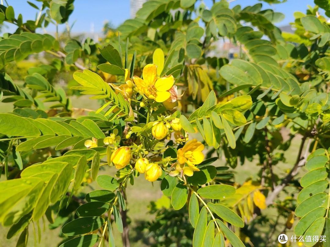 荣耀80 GT上手体验：超帧双芯演绎性能美学，3299元起满是惊喜