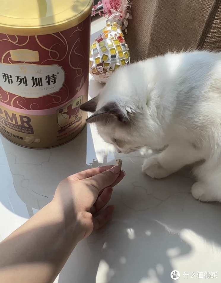 猫咪主食冻干怎么选？幼猫主食冻干有什么推荐？弗列加特大红桶幼猫款怎么样？