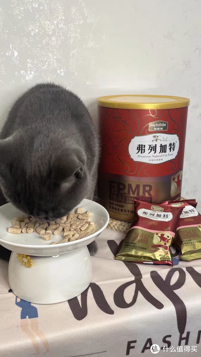 猫咪主食冻干怎么选？幼猫主食冻干有什么推荐？弗列加特大红桶幼猫款怎么样？