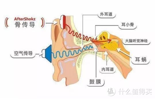 有什么值得推荐的骨传导耳机？