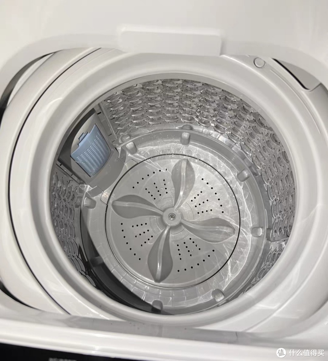 TCL XQB55-36SP 小型波轮节能全自动5.5公斤洗衣机