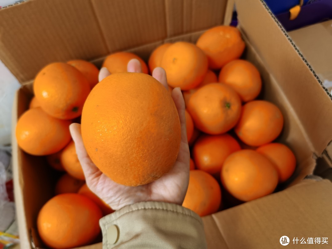 每年的年货怎么少得了富川胶橙
