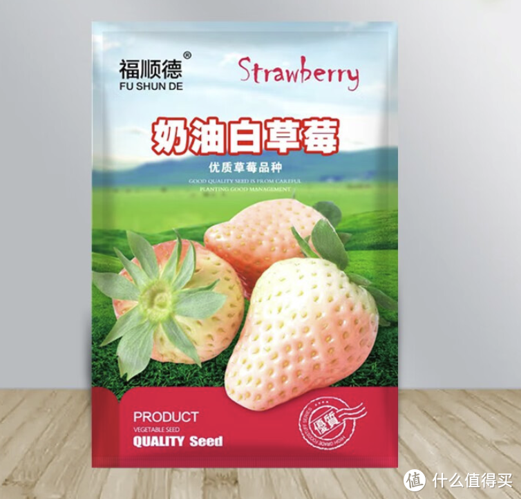 草莓🍓太贵？那就自己种草莓吧～